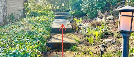 Jardines del alojamiento