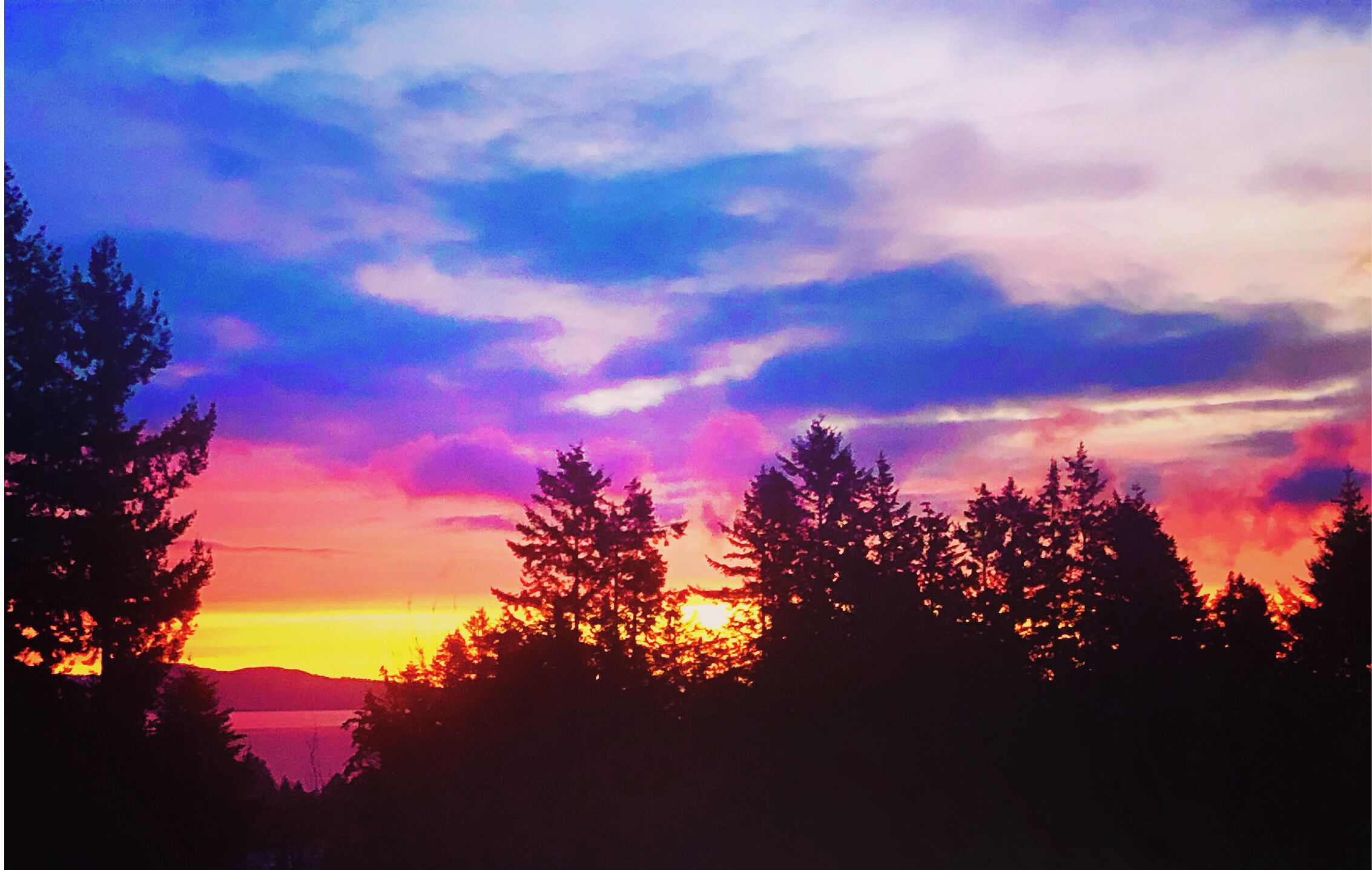 A sunset over a forested area with silhouettes of trees and a distant body of water.