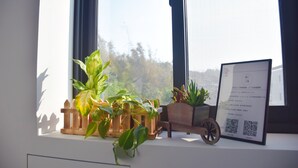 Um peitoril com plantas em vasos, uma pequena cerca de madeira e um documento emoldurado.