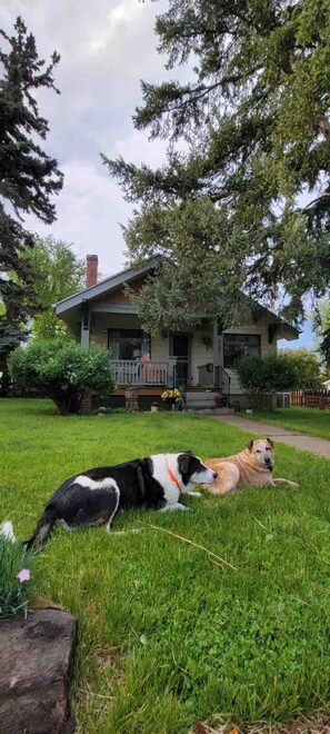 Property grounds - Artful Abode Main Level 1 BDRM Cottage (Sheridan)