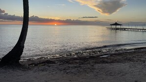 A beach scene with a sunset, calm water, a pier, and a tree.