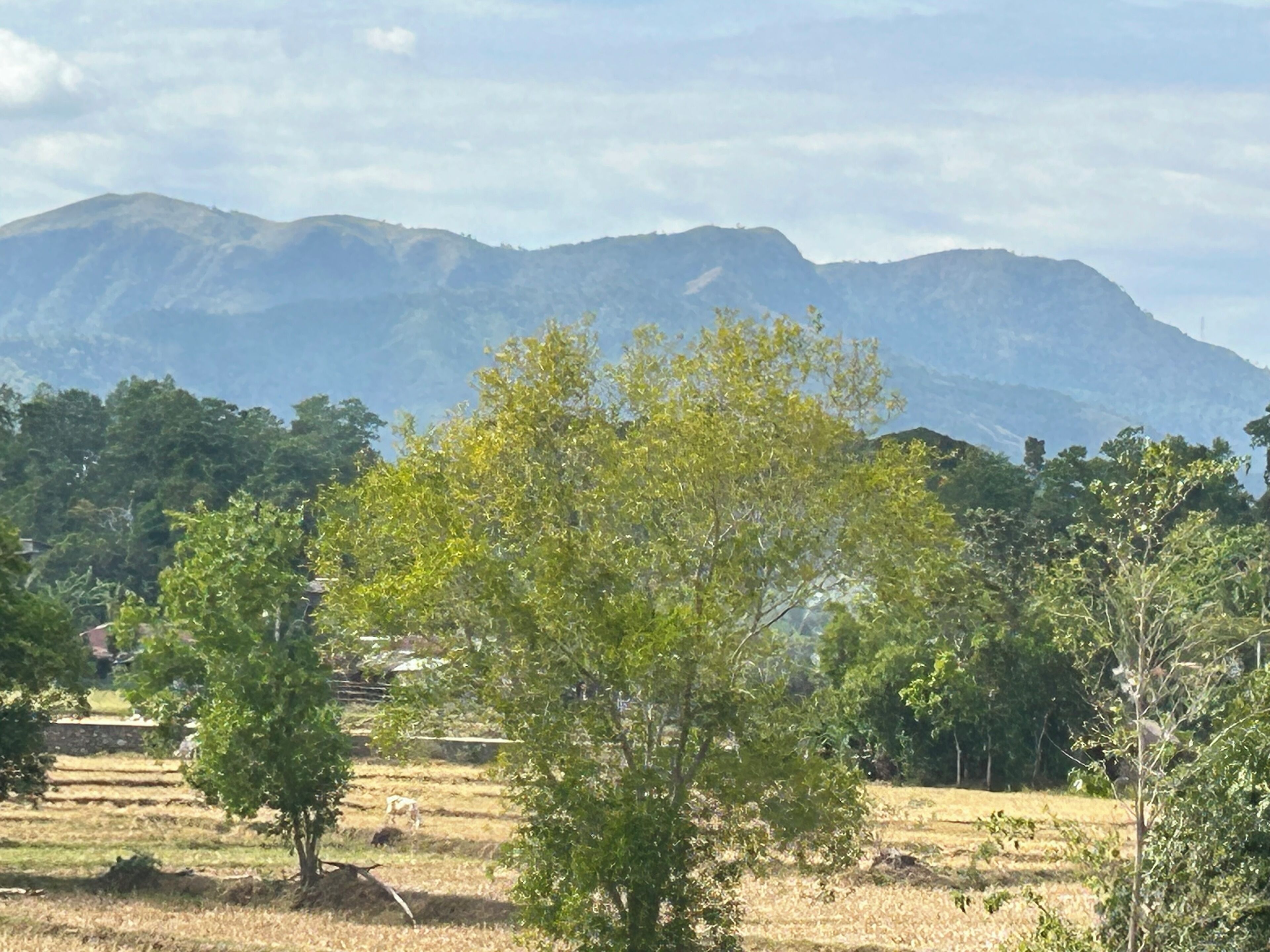 Paisaje rural con montañas al fondo, un árbol en primer plano y un campo con escalones que conducen a una edificación.