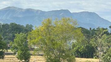 Paisaje rural con montañas al fondo, un árbol en primer plano y un campo con escalones que conducen a una edificación.