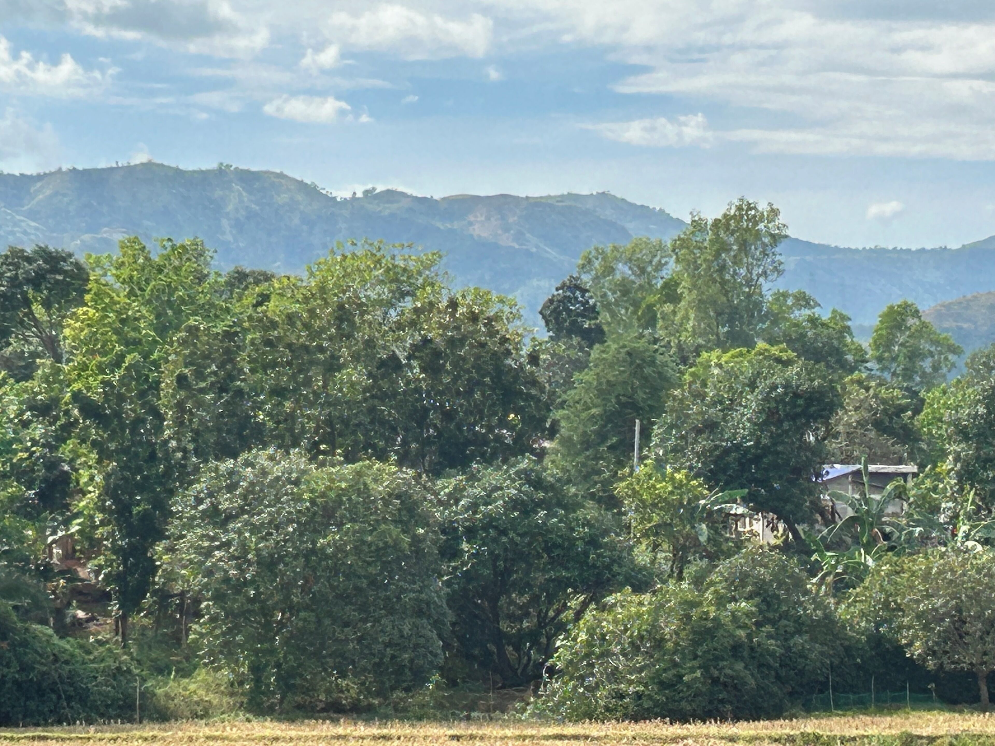 Mountain view