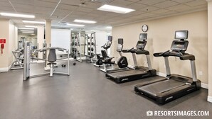 A gym with treadmills, weight machines, and free weights.