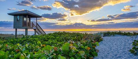 Sun-loungers, beach towels