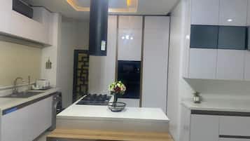 Deluxe Apartment | Private kitchen | Fridge, cookware/dishes/utensils