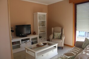 Fernseher, Bücher