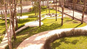 A landscaped garden with pathways, trees, and a circular seating area. - RiverTree Resort Chiangkhan  (Chiang Khan)