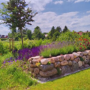 Property grounds - Premium vacation home "Söss Diek" in Groß Schwansee on the Baltic Sea (Groß Schwansee)