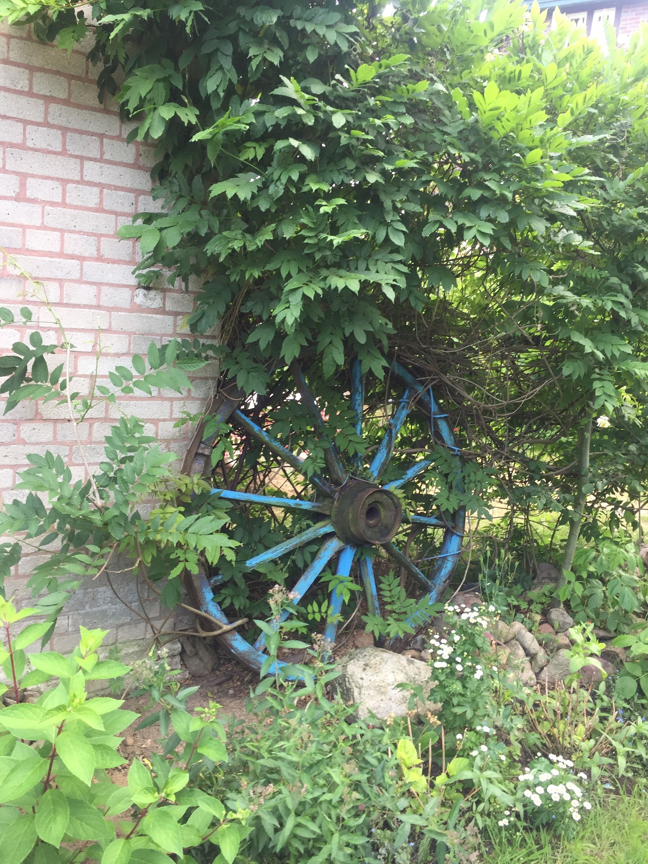 A blue metal wheel structure surrounded by greenery and a brick wall.