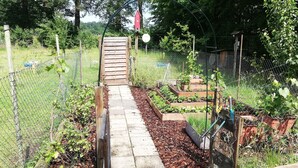 A garden with a wooden gate, raised beds, and a wire fence.