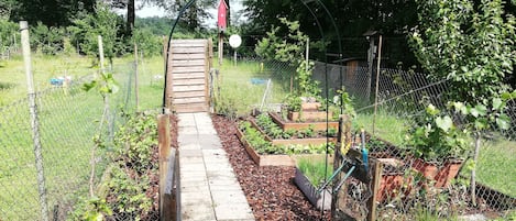 Jardin