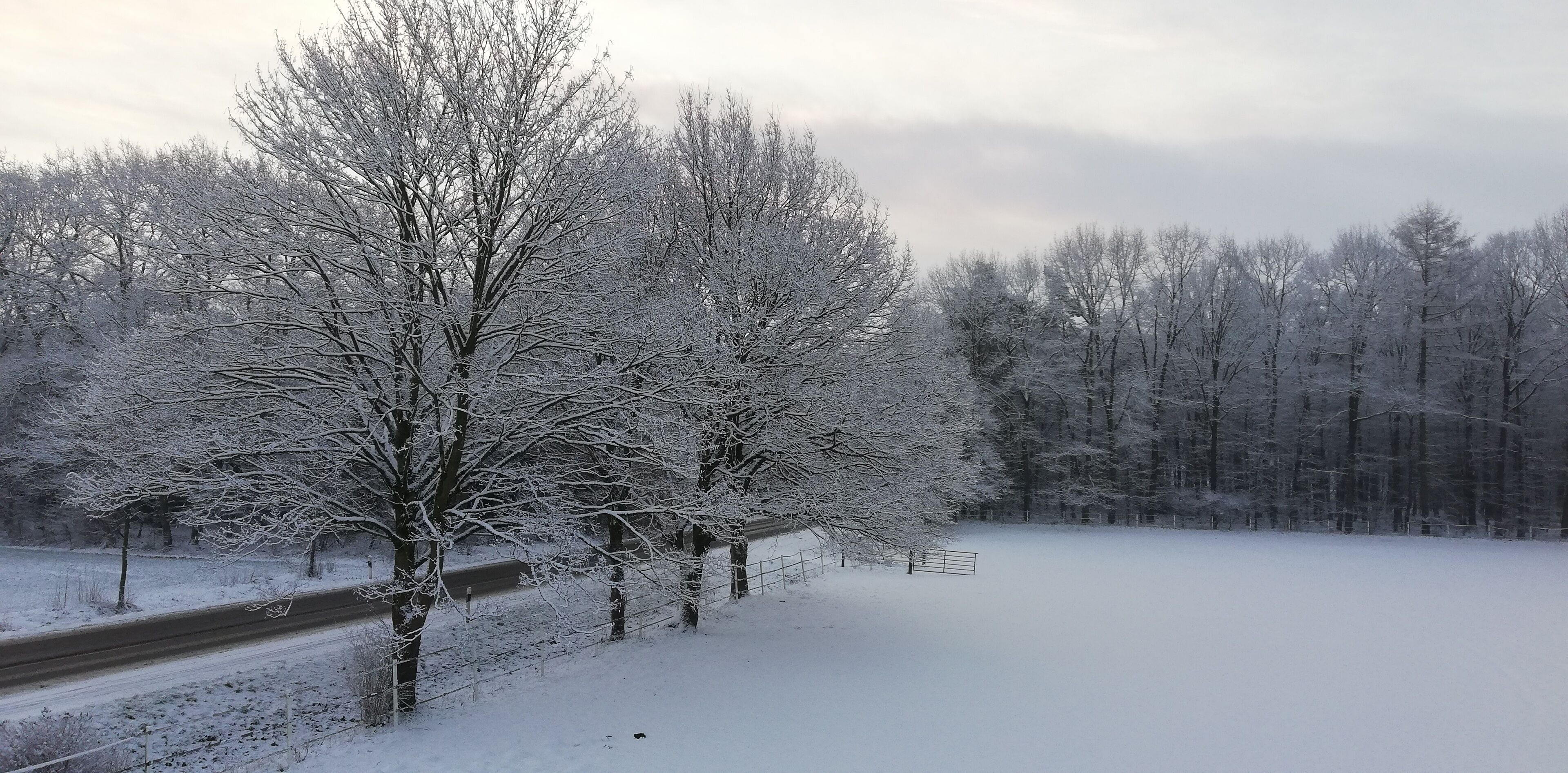 A snow-covered landscape with bare trees and a road.