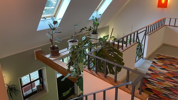 Een meerlaags interieur met dakramen, een trap en diverse potplanten.