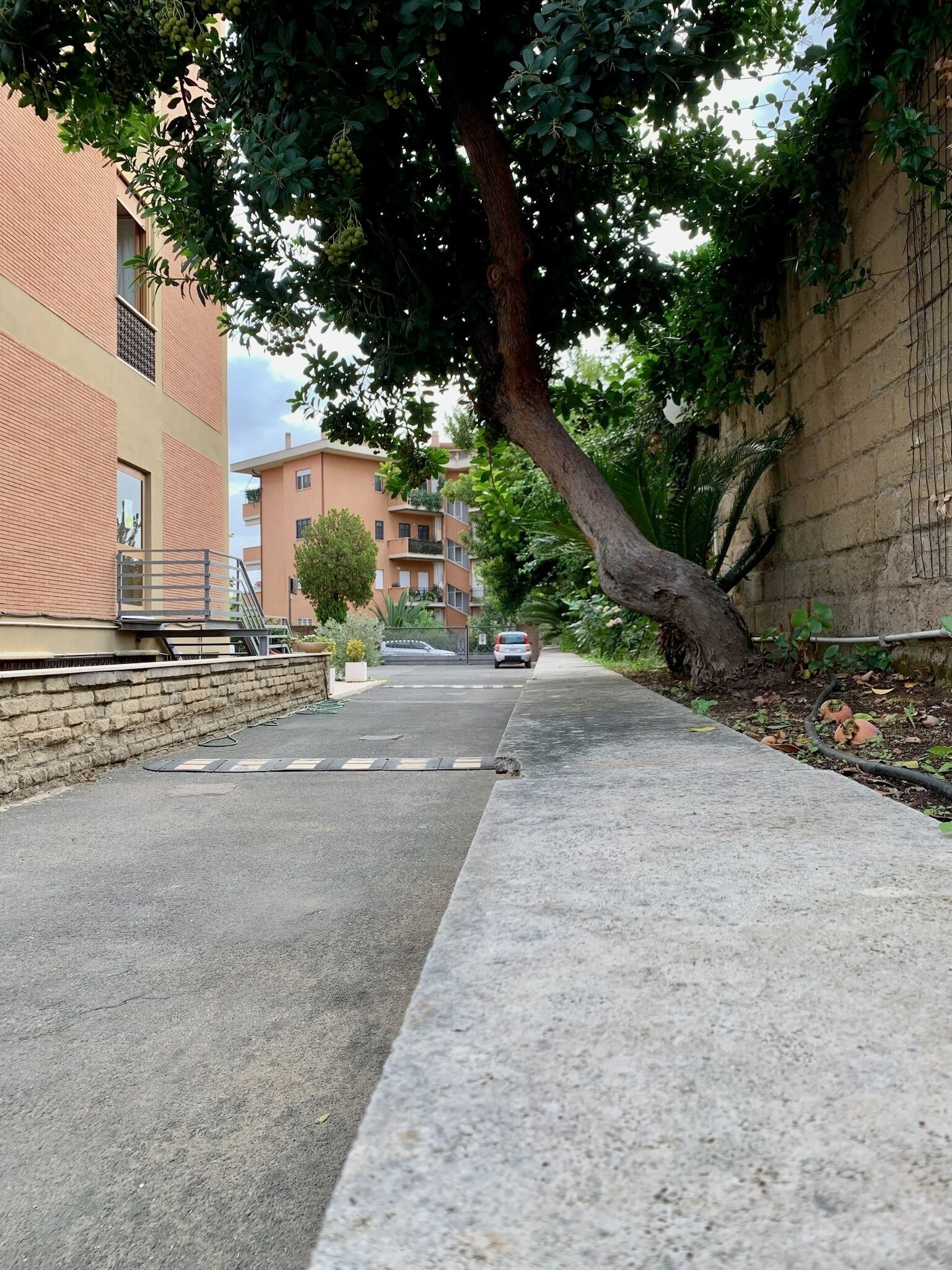 Foto - Oasi San Francesco