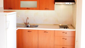 A compact kitchen with wooden cabinets, a stainless steel sink, and a built-in stove. - Villa Julio's  fully separate stone house , located in the middle of garden (Seget Donji)