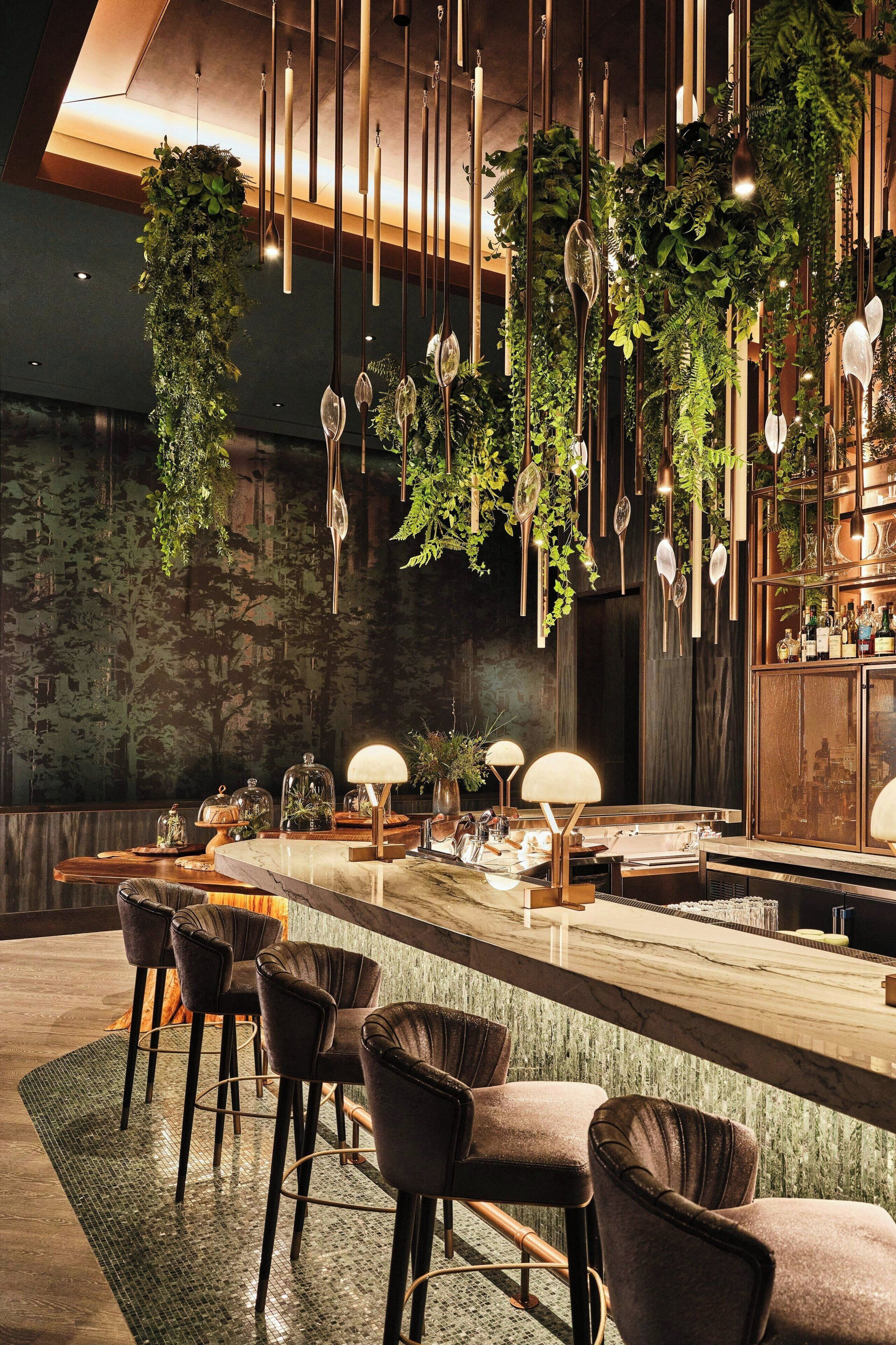 A modern bar area with hanging plants, pendant lights, and bar stools.