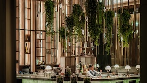 供应早餐、午餐、晚餐和早午餐
