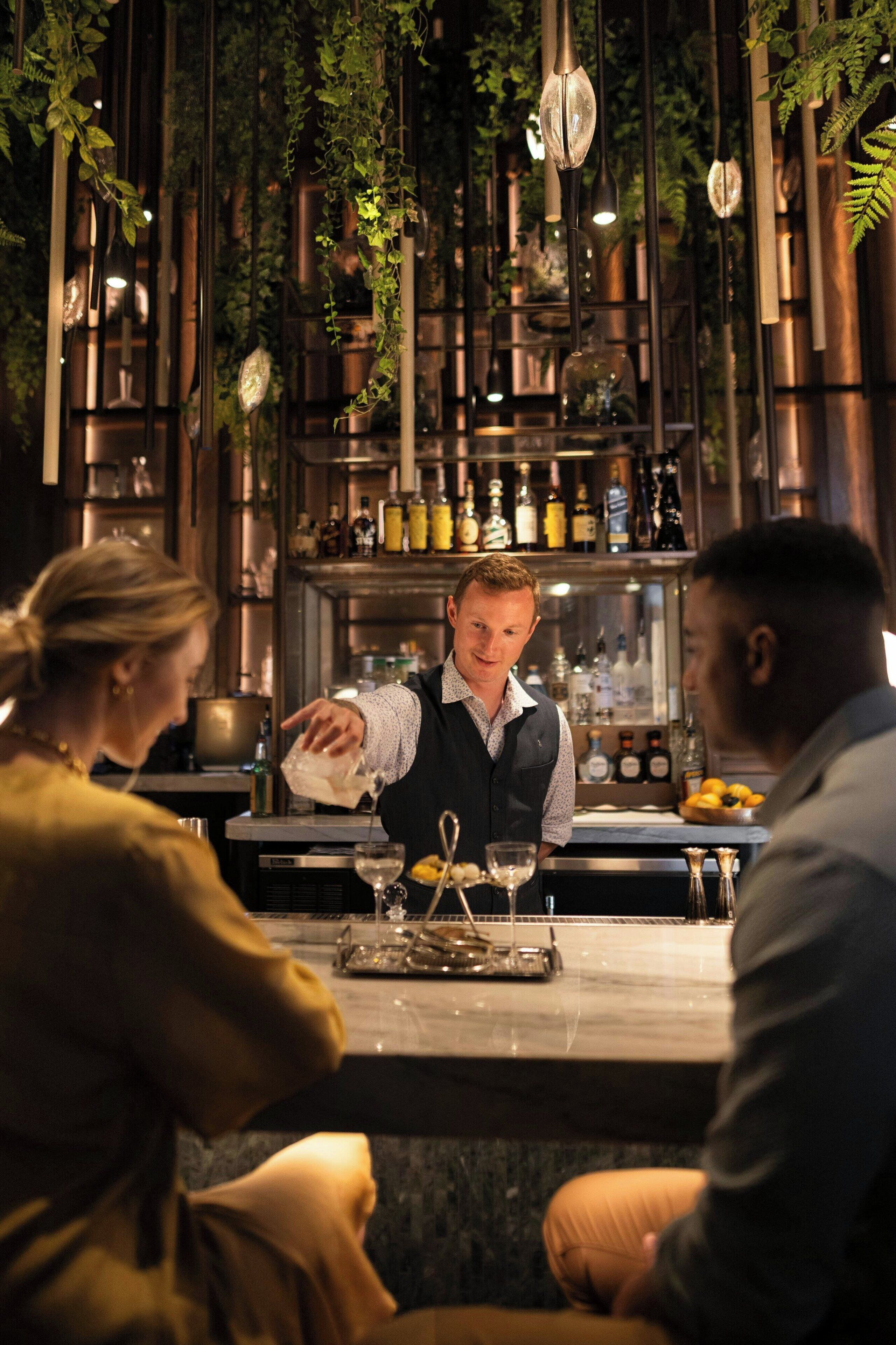 A bar area with a bartender, shelves with bottles, and hanging plants.