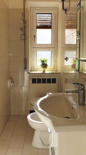 Combined shower/tub, jetted tub, hair dryer, bidet