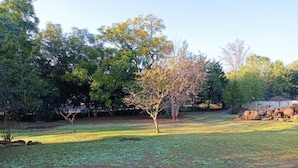 A grassy outdoor area with trees and rocks. - Danodeb Lodge  (Pietermaritzburg)