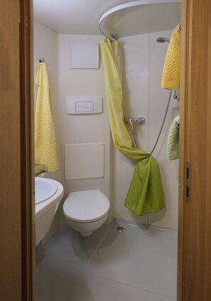 Douche, sèche-cheveux, serviettes fournies, papier toilette