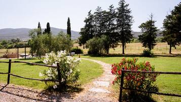 Ein Kiesweg führt durch einen von Zäunen umgebenen Garten mit weißen und roten Blüten, umgeben von Bäumen und einer Berglandschaft im Hintergrund.