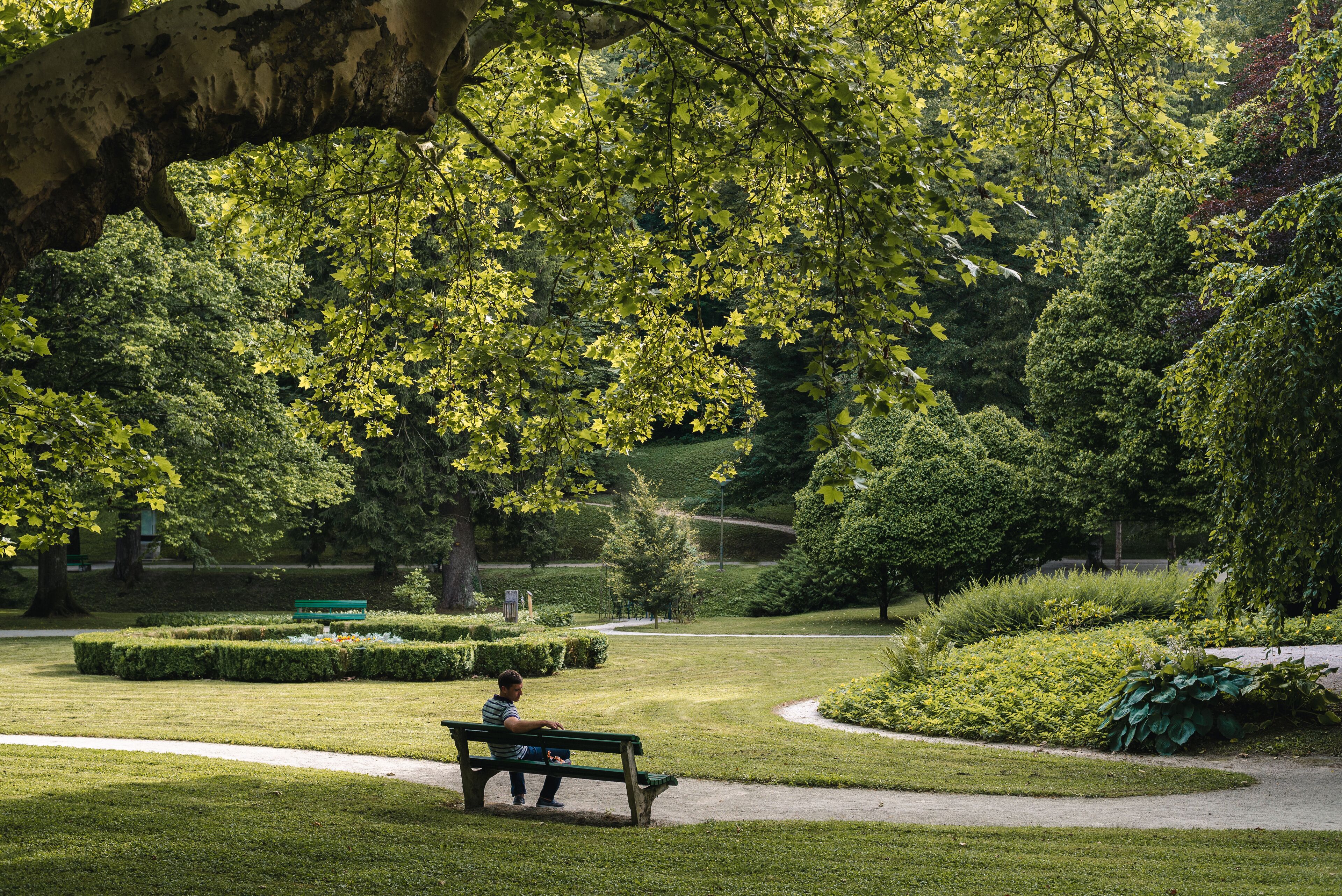 Ein Park mit einer Bank und einem Gehweg.