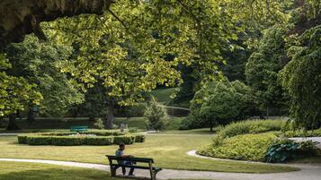 Ein Park mit einer Bank und einem Gehweg.