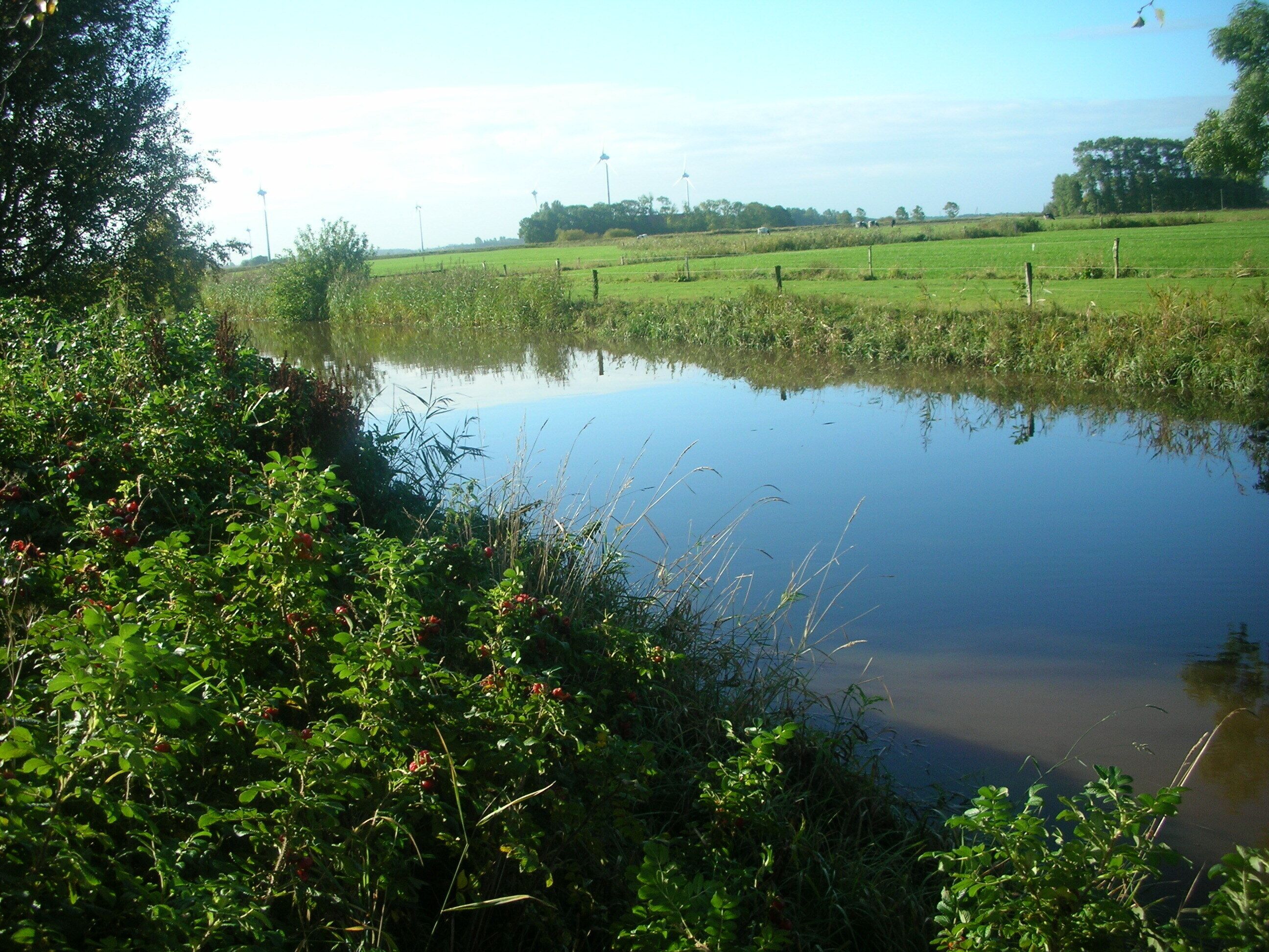 Um lago tranquilo rodeado por vegetação exuberante e campos.