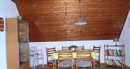 Beautiful fine apartment with garden, meadow, view of water and land