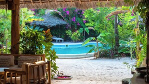 Una terraza de madera con piscina, rodeada de plantas tropicales y una estructura con techo de paja.