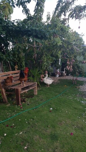 Áreas de la propiedad