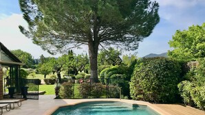Une piscine à bordures courbes, entourée d’une terrasse en bois et d’une clôture en métal.