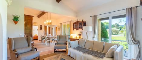 TV connectée, cheminée, lecteur de DVD, livres