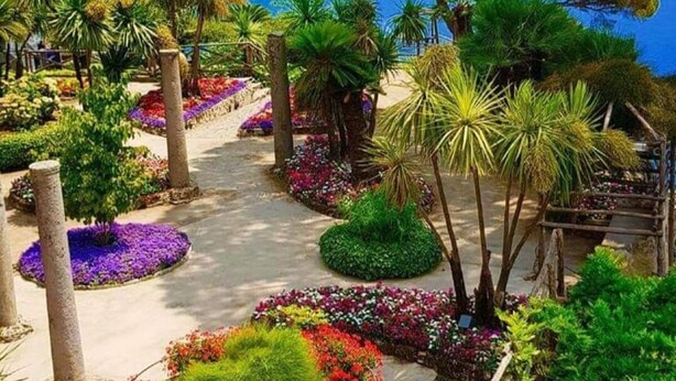 A garden with various plants and trees, a pathway, and a wooden fence. - La Perla Apartment (Sant'Agnello)