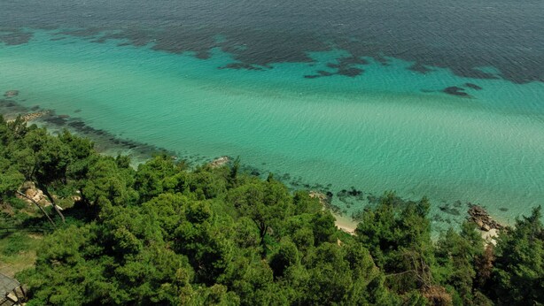 An aerial view of a coastal area with clear turquoise waters, dense green forest, and rocky shoreline.