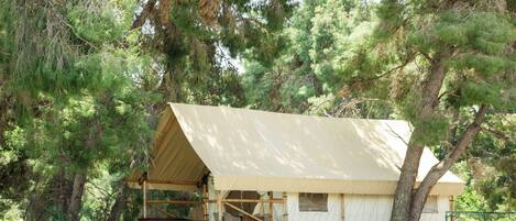 A rustic, single-story tent-style cabin surrounded by dense pine trees.