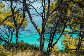 A coastal landscape with trees and a turquoise sea. - Pefkon Suites (Kassandra)