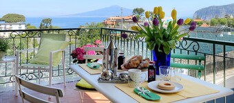Amazing apt with breathtaking seaview&Vesuvius in Sorrento center near the beach