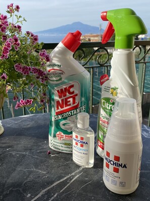 A table with cleaning products and a potted plant.