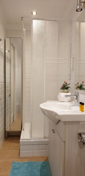 Regadera, secadora de cabello, bidet, toallas 