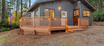 Cozy cabin in a serene patch of woods near Palmer Lake
