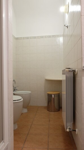 Dusche, Haartrockner, Bidet, Handtücher