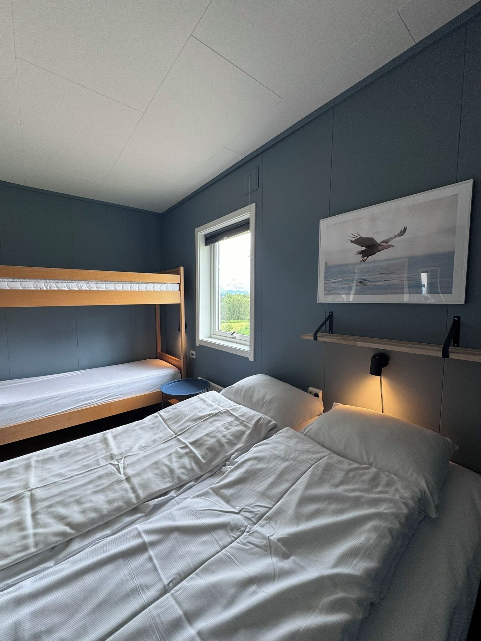A dormitory room with two bunk beds, a window with a view, a framed picture on the wall, and a bedside table.