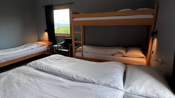 A dormitory room with bunk beds, a desk, and a window with curtains.