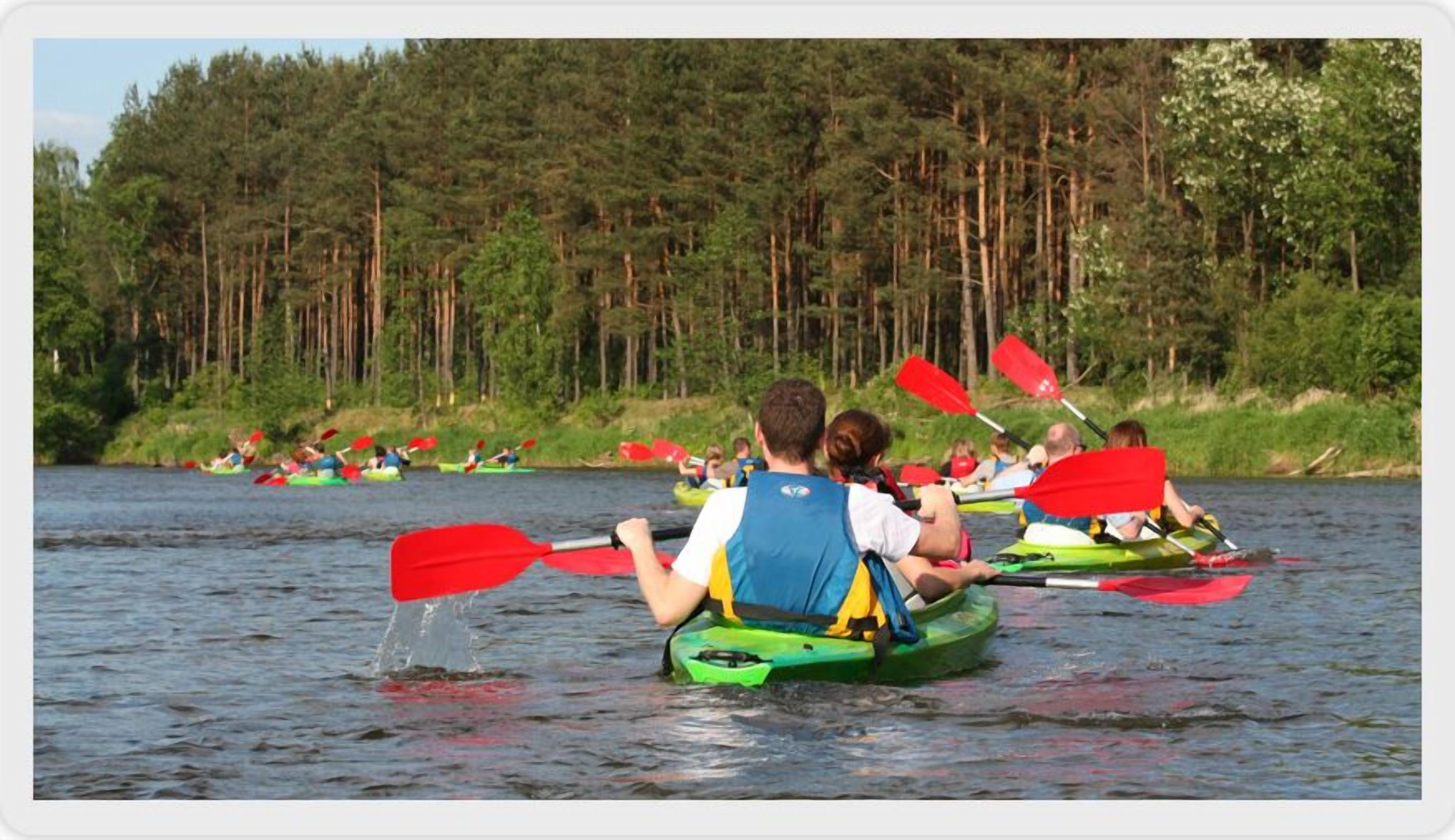 Personas haciendo kayak en un río tranquilo rodeado de un bosque denso.