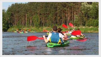 Personas haciendo kayak en un río tranquilo rodeado de un bosque denso.
