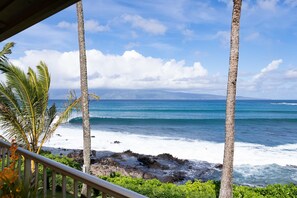 Property grounds - Luxury Oceanfront Studio at Napili Shores, Renovated|Direct Ocean Views | AC (Lahaina)